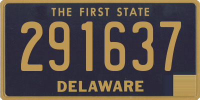 DE license plate 291637