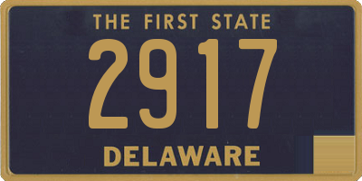 DE license plate 2917