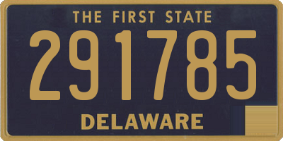 DE license plate 291785