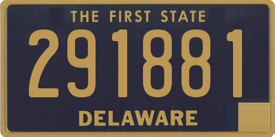 DE license plate 291881