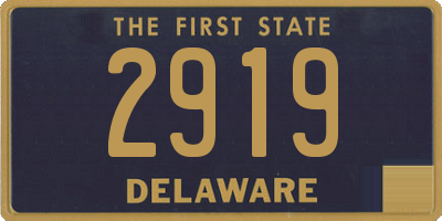 DE license plate 2919