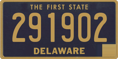 DE license plate 291902