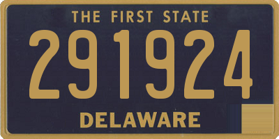 DE license plate 291924