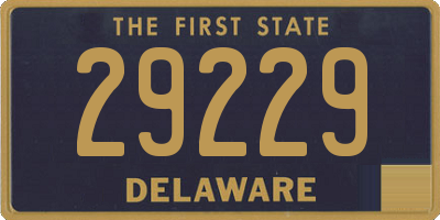 DE license plate 29229