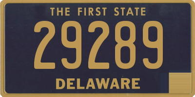 DE license plate 29289