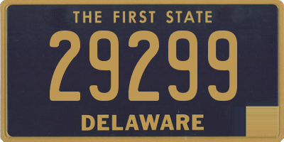 DE license plate 29299