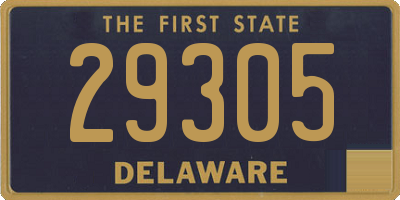 DE license plate 29305