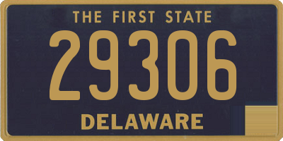 DE license plate 29306