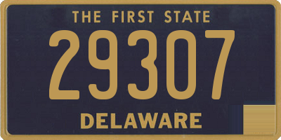 DE license plate 29307