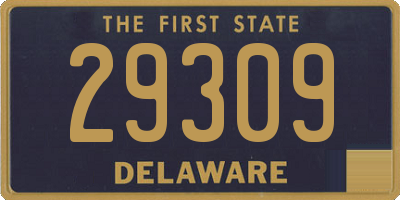 DE license plate 29309