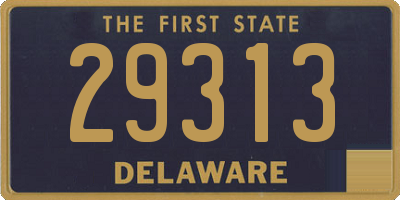 DE license plate 29313