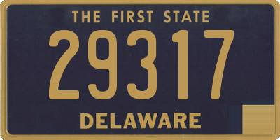 DE license plate 29317