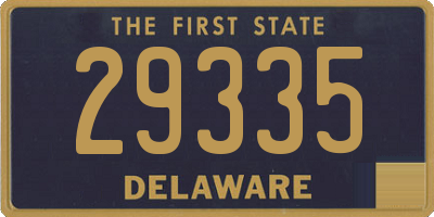 DE license plate 29335