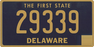 DE license plate 29339