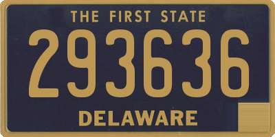 DE license plate 293636