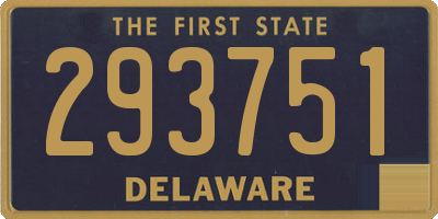 DE license plate 293751
