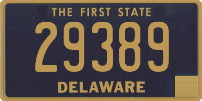 DE license plate 29389