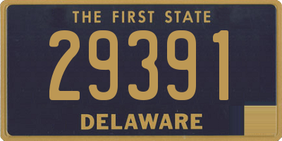 DE license plate 29391