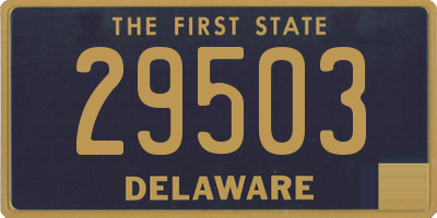DE license plate 29503