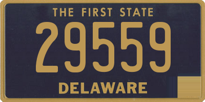 DE license plate 29559
