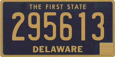DE license plate 295613
