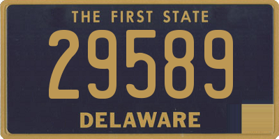 DE license plate 29589