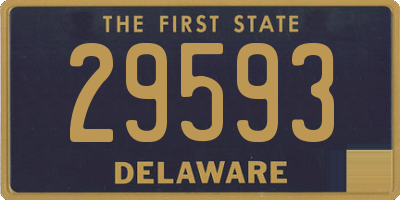 DE license plate 29593