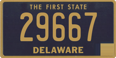 DE license plate 29667