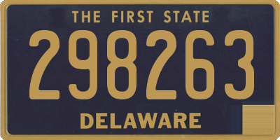 DE license plate 298263