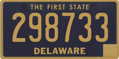 DE license plate 298733