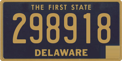 DE license plate 298918