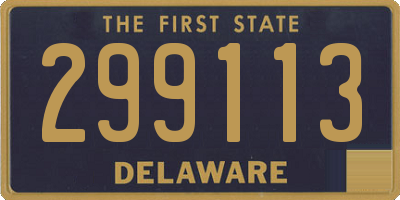 DE license plate 299113