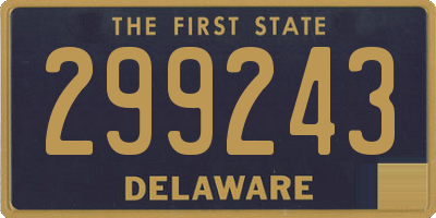 DE license plate 299243