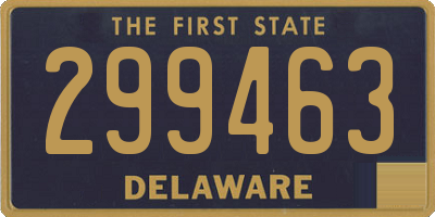 DE license plate 299463