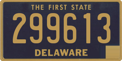 DE license plate 299613
