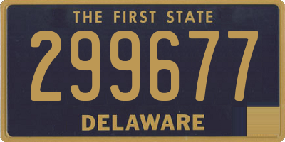 DE license plate 299677