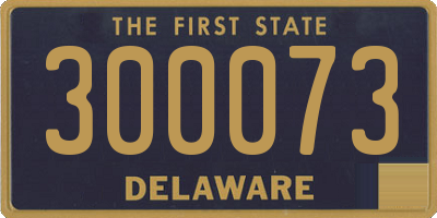 DE license plate 300073