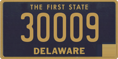 DE license plate 30009