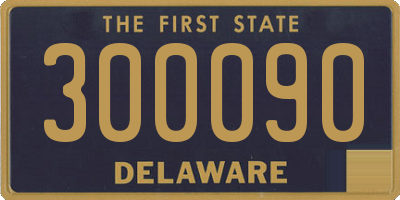 DE license plate 300090