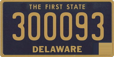DE license plate 300093