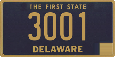 DE license plate 3001