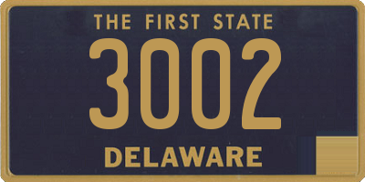 DE license plate 3002