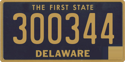 DE license plate 300344