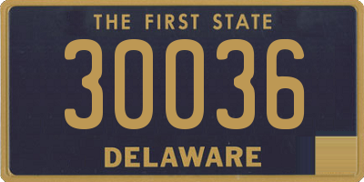 DE license plate 30036