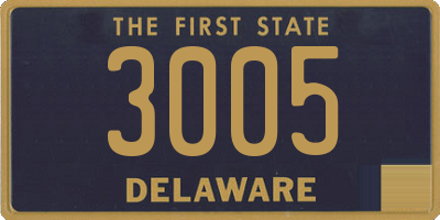 DE license plate 3005