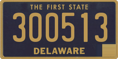 DE license plate 300513
