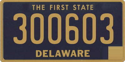 DE license plate 300603