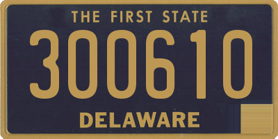 DE license plate 300610