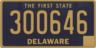 DE license plate 300646