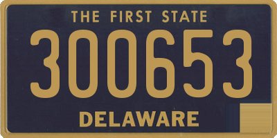 DE license plate 300653